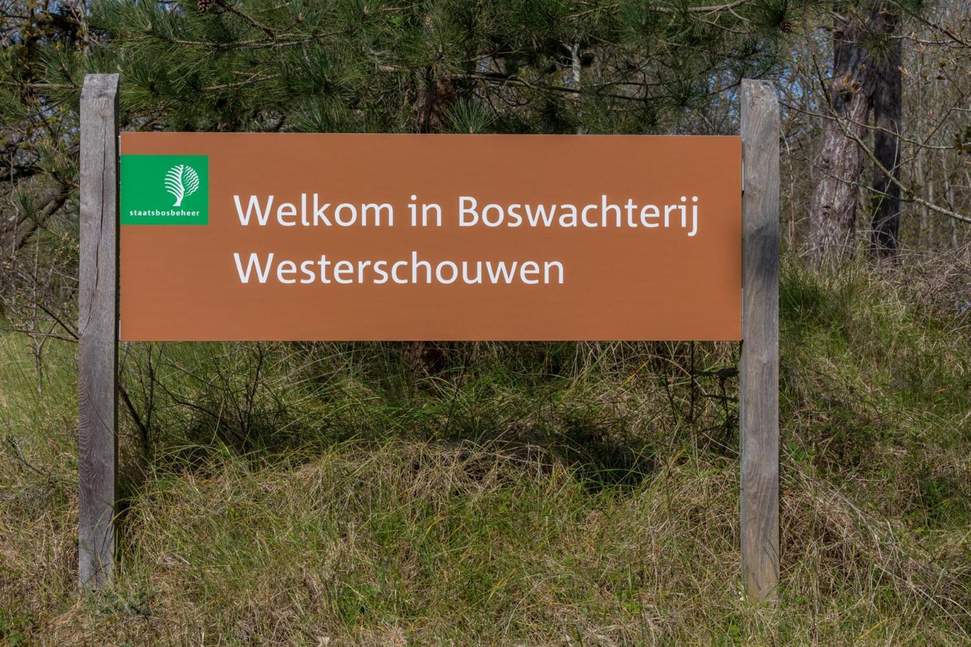 - De Duinhoeve Bosdier - Maireweg 7 - *