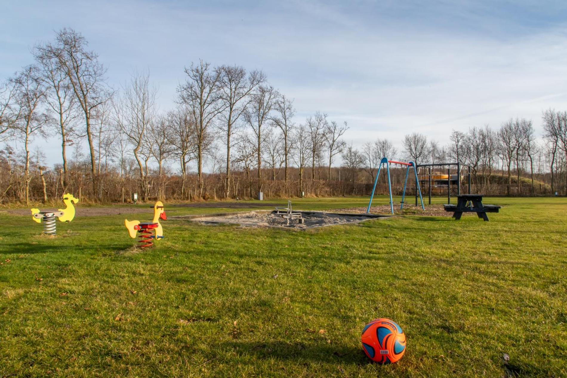 - De Duinhoeve Bosdier - Maireweg 7 - Camping *